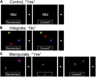 Frontopolar Cortex Specializes for Manipulation of Structured Information